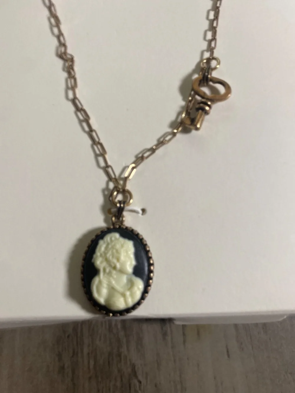 As Is NWT Zara 2 Pack Cameo Pendant Necklace